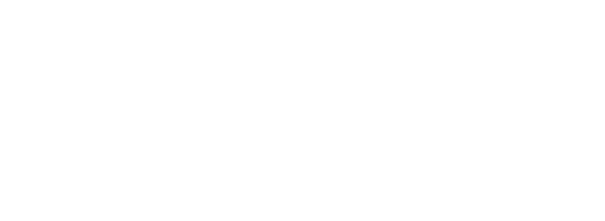 logo blanco.png